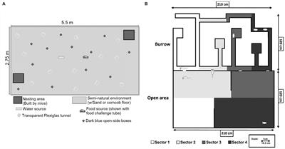 Seminatural environments for rodent behavioral testing: a representative design improving animal welfare and enhancing replicability